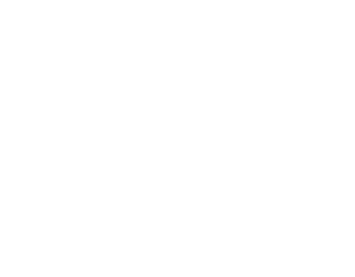 71 bis